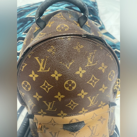 Louis Vuitton Reverse Monogram Palm Springs Backpack MM - Picture 2 of 15